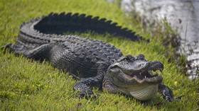 We are all Florida man (E10)