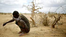 Vsevolod Sviridov: The West is using its climate agenda to hold back African development