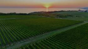 Que Syrah Syrah! Discovering Russia’s wine country