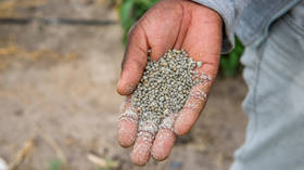 Russian fertilizer aid for Zimbabwe arrives at African port