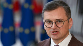 Ukrainians ‘would fight with shovels’ – foreign minister