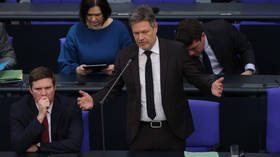 Loss of Russian gas has hurt German economy – minister   
