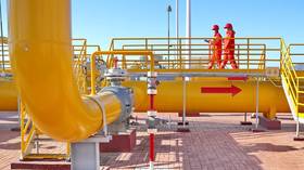 Russian oil supplies to China jumped 24% in 2023 – data