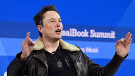 ‘Absurd’ that India not a permanent UN Security Council member – Elon Musk