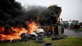 French fury: Farmers sowing seeds of revolution against elites in Paris