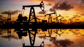 India to become leading driver of oil demand growth – media