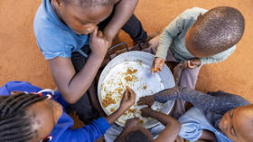 Feeding Africa: Sanctions make it worse, imports don’t help, what’s the solution?