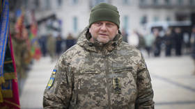 Zelensky wants to fire his top general over peace talks – Seymour Hersh