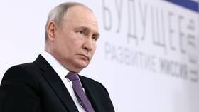 Ukrainian military a terrorist organization – Putin