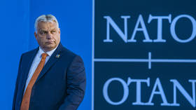 West totally wrong about Ukraine – NATO member